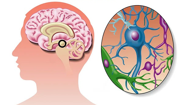 帕金森患者群体日益庞大，“震颤之痛”未来是否有望治愈？