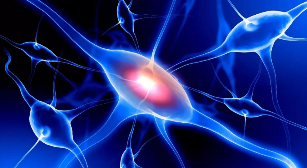 帕金森患者群体日益庞大，“震颤之痛”未来是否有望治愈？