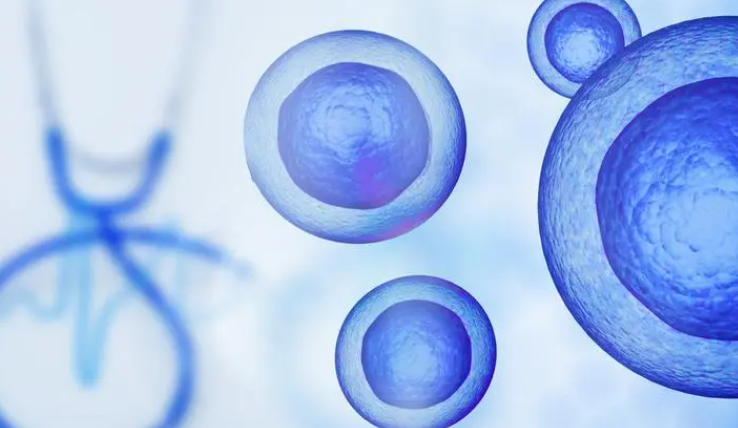 科学会议：干细胞研究或将引发医疗技术革命