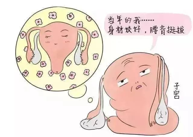 干细胞治疗压力性尿失禁SUI再现潜力