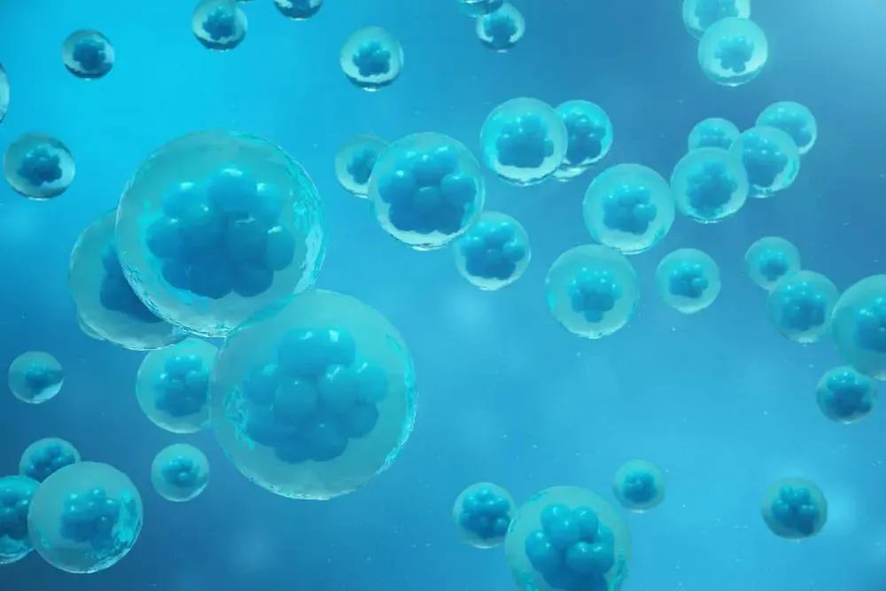 干细胞治疗压力性尿失禁SUI再现潜力