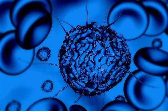 干细胞治疗压力性尿失禁SUI再现潜力