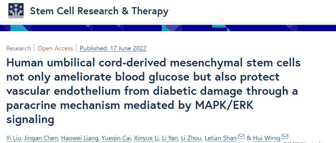 国际期刊：干细胞不仅可以降血糖，还能保护血管内皮，抵抗糖尿病并发症