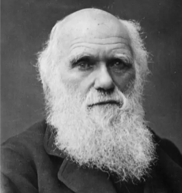 神经干细胞竞争“上岗” 两个基因是“幕后推手”