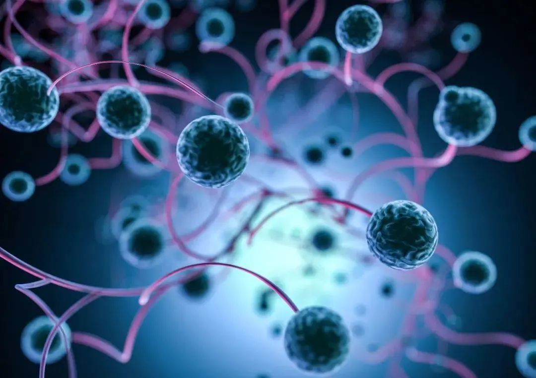 干细胞知识汇总讲解