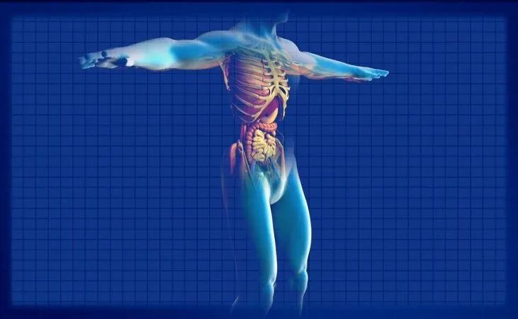 干细胞知识汇总讲解