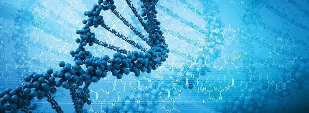 干细胞知识汇总讲解