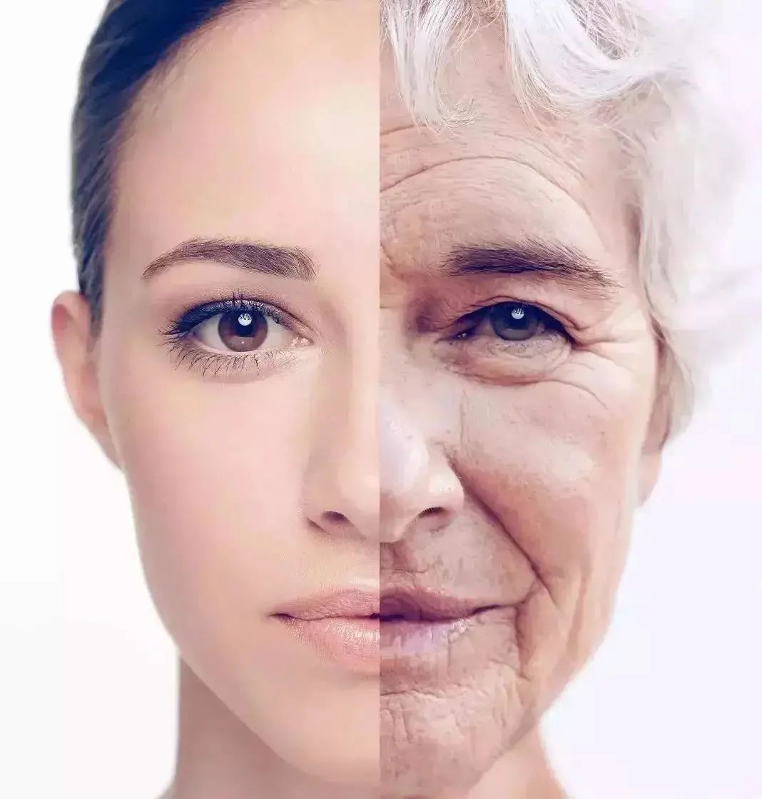 干细胞知识汇总讲解