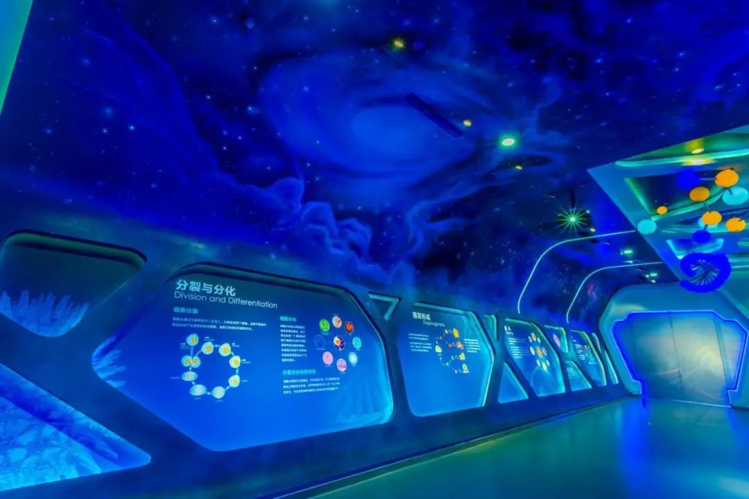 干细胞知识汇总讲解