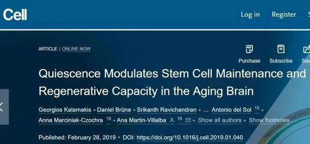 国际期刊《Cell》激活休眠中的神经干细胞，或可启动衰老大脑的神经修复