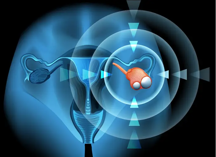 干细胞对女性健康有哪些重要的作用？