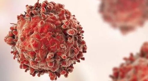 想用免疫治疗又不懂作用原理？先来看看肿瘤与免疫系统的故事！