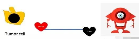 想用免疫治疗又不懂作用原理？先来看看肿瘤与免疫系统的故事！