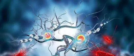 想用免疫治疗又不懂作用原理？先来看看肿瘤与免疫系统的故事！