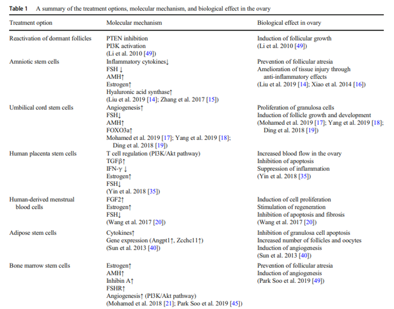 改善卵巢功能，逆转卵巢早衰，干细胞为女性推迟衰老进程