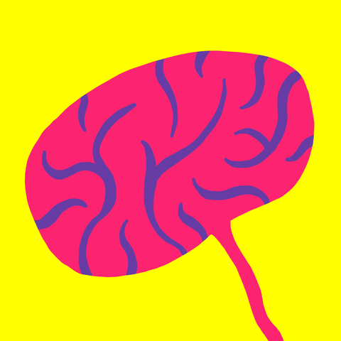 改善卵巢功能，逆转卵巢早衰，干细胞为女性推迟衰老进程