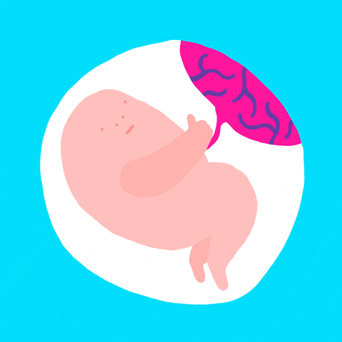 改善卵巢功能，逆转卵巢早衰，干细胞为女性推迟衰老进程