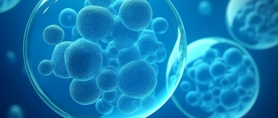 神经干细胞(NSC)在修复脑神经损伤方面效果显著！