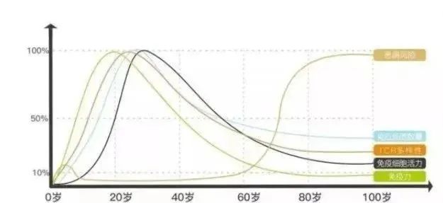 免疫细胞与衰老、疾病都有什么联系呢？