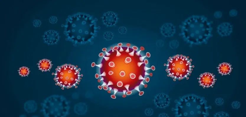 免疫细胞与衰老、疾病都有什么联系呢？