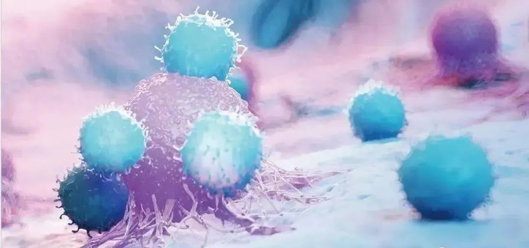 免疫细胞与衰老、疾病都有什么联系呢？