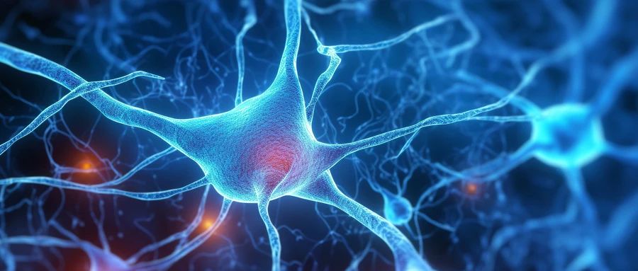 3D打印神经干细胞或可修复脑损伤