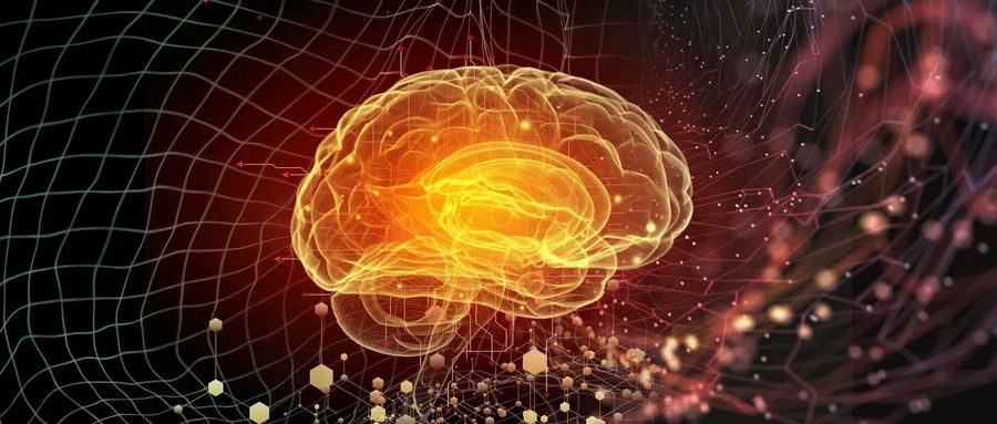 3D打印神经干细胞或可修复脑损伤