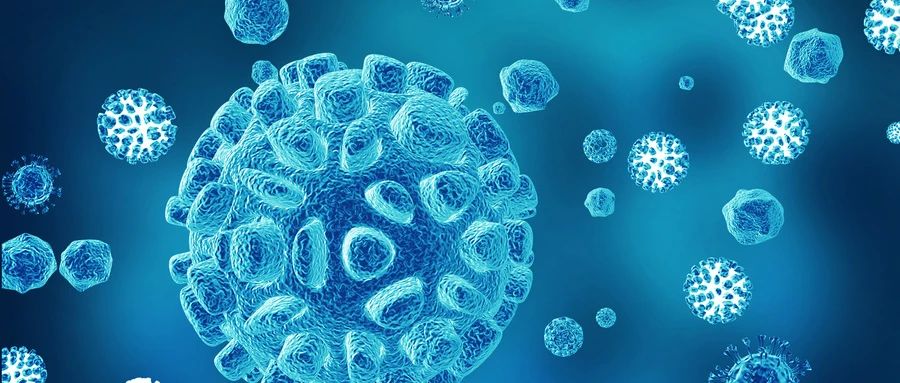 细胞衰老的机制