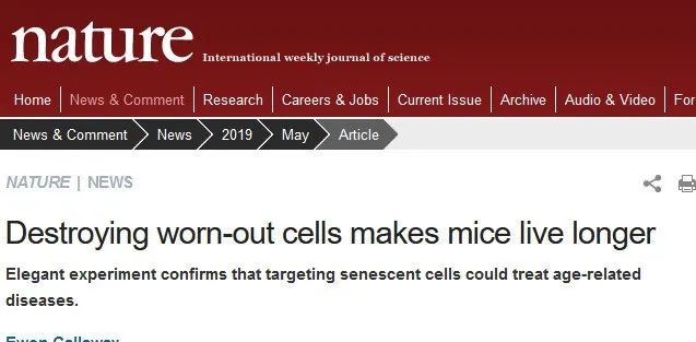 支原体肺炎疯狂肆虐，免疫力究竟有多重要?