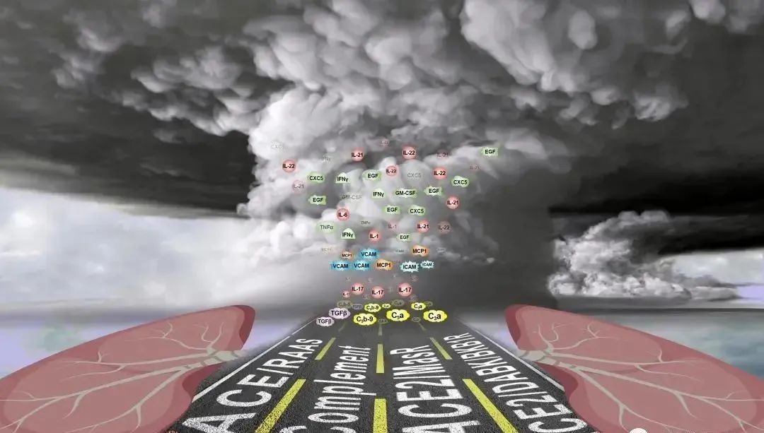 支原体肺炎疯狂肆虐，免疫力究竟有多重要?