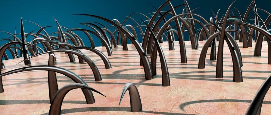 脱发与干细胞之间的关系，你知道多少？