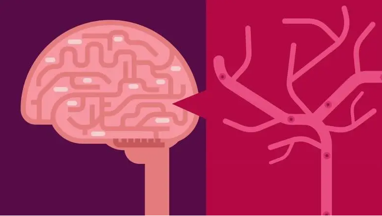 试验显示：干细胞疗法是治疗进展性多发性硬化症的希望