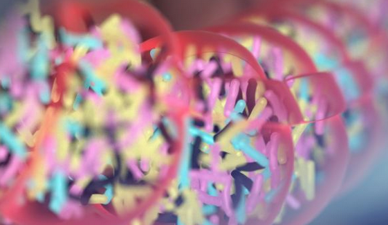 “第二基因组”的平衡被打乱，人就会生病