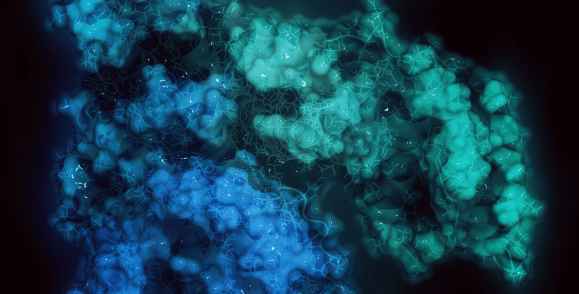 什么是人血清白蛋白及其四大应用