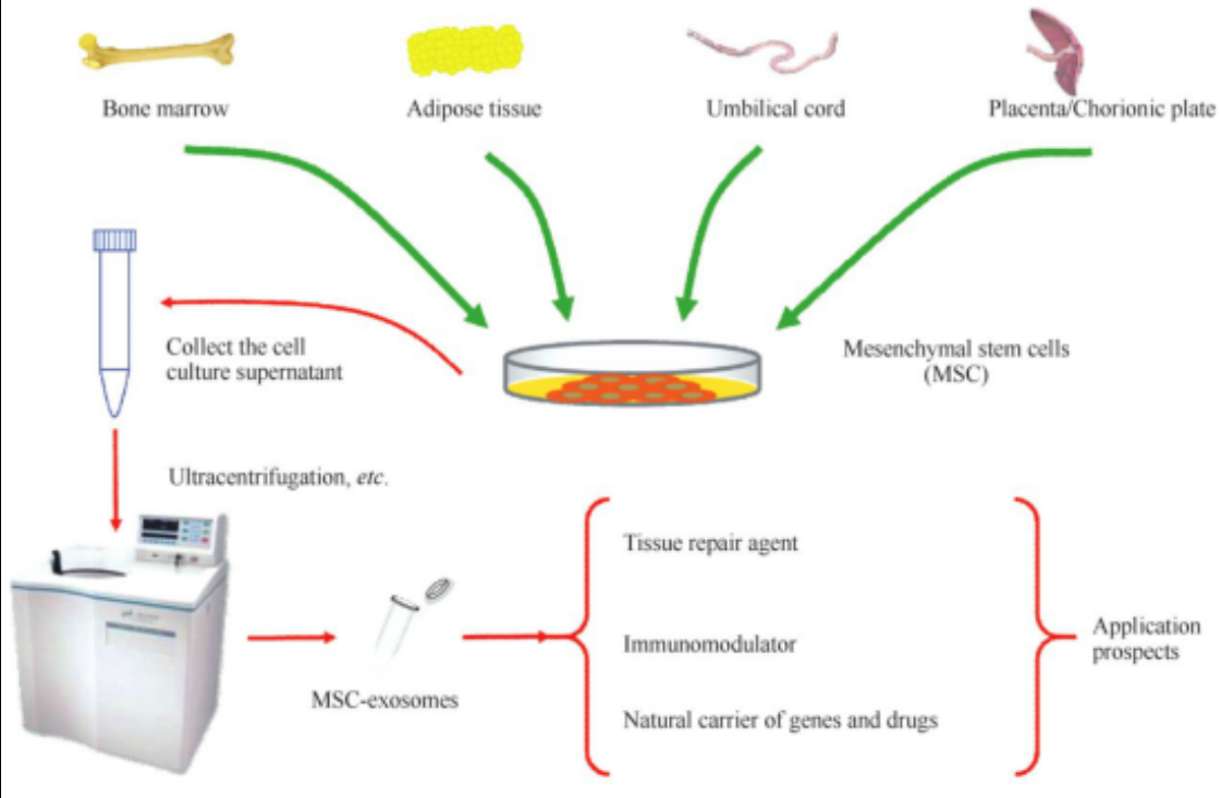 关于“外泌体”皮肤抗衰老，你知道多少？