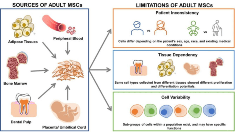 不同来源的间充质干细胞（MSC）之间的比较！