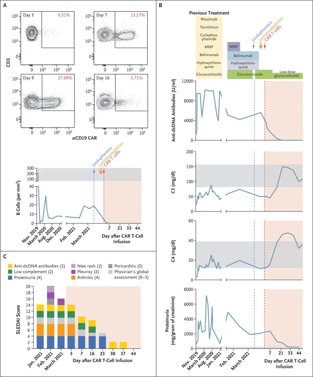 CAR-T细胞疗法治疗系统性红斑狼疮，让其不再是不可治愈的疾病！