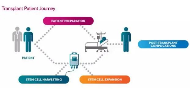药物治疗模式与细胞治疗模式区别