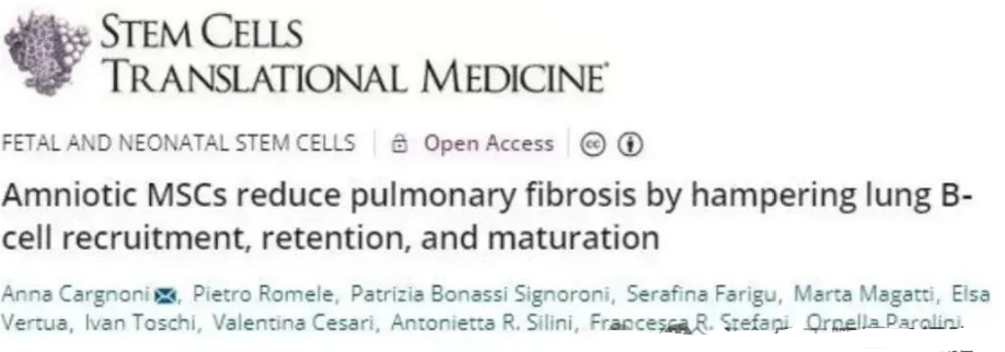 关于干细胞治疗肺纤维化的5个临床研究案例