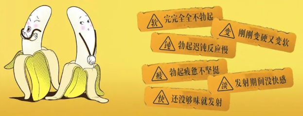 关于干细胞治疗勃起障碍（ED）的相关研究论文及案例