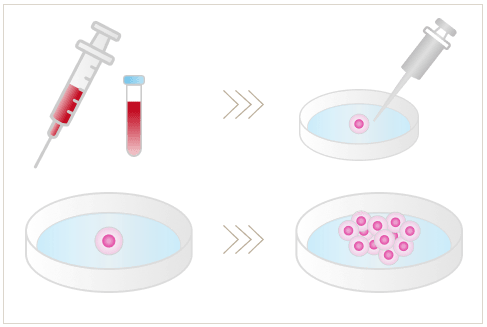 北联干细胞：“我想通过iPS细胞，为所有人提供全新的医疗服务”