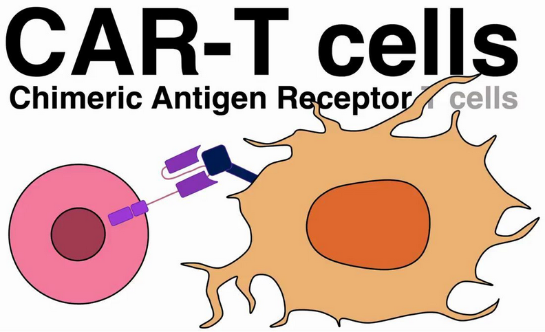 麻省理工评论：CAR-T细胞可以彻底改变各种疾病的治疗，只要我们能使它们更便宜