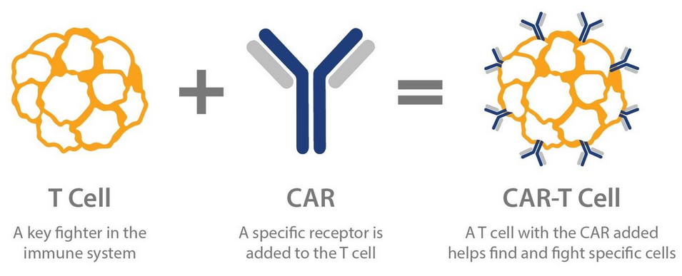 麻省理工评论：CAR-T细胞可以彻底改变各种疾病的治疗，只要我们能使它们更便宜