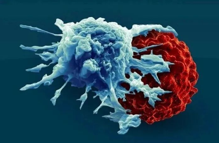 麻省理工评论：CAR-T细胞可以彻底改变各种疾病的治疗，只要我们能使它们更便宜