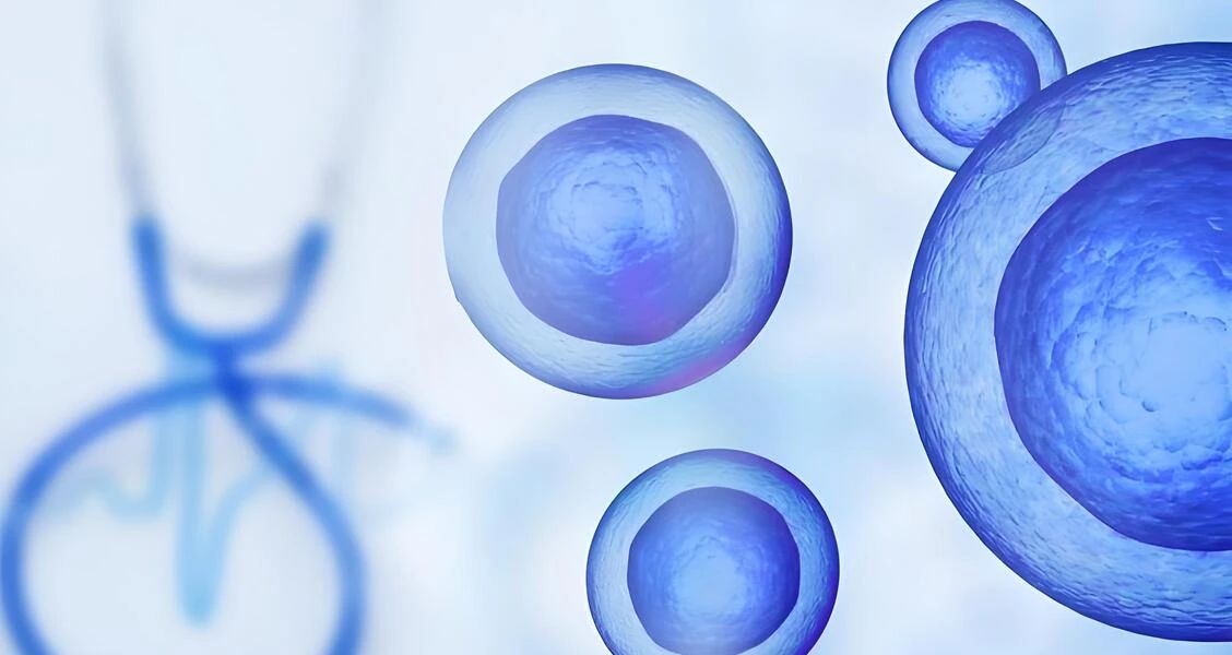 MSCs 与 iPSC：探索干细胞疗法前景