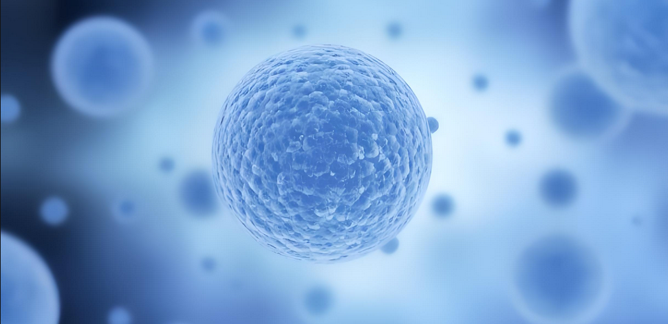 骨髓、脐带、脂肪这3种不同来源的干细胞之间有什么区别呢？