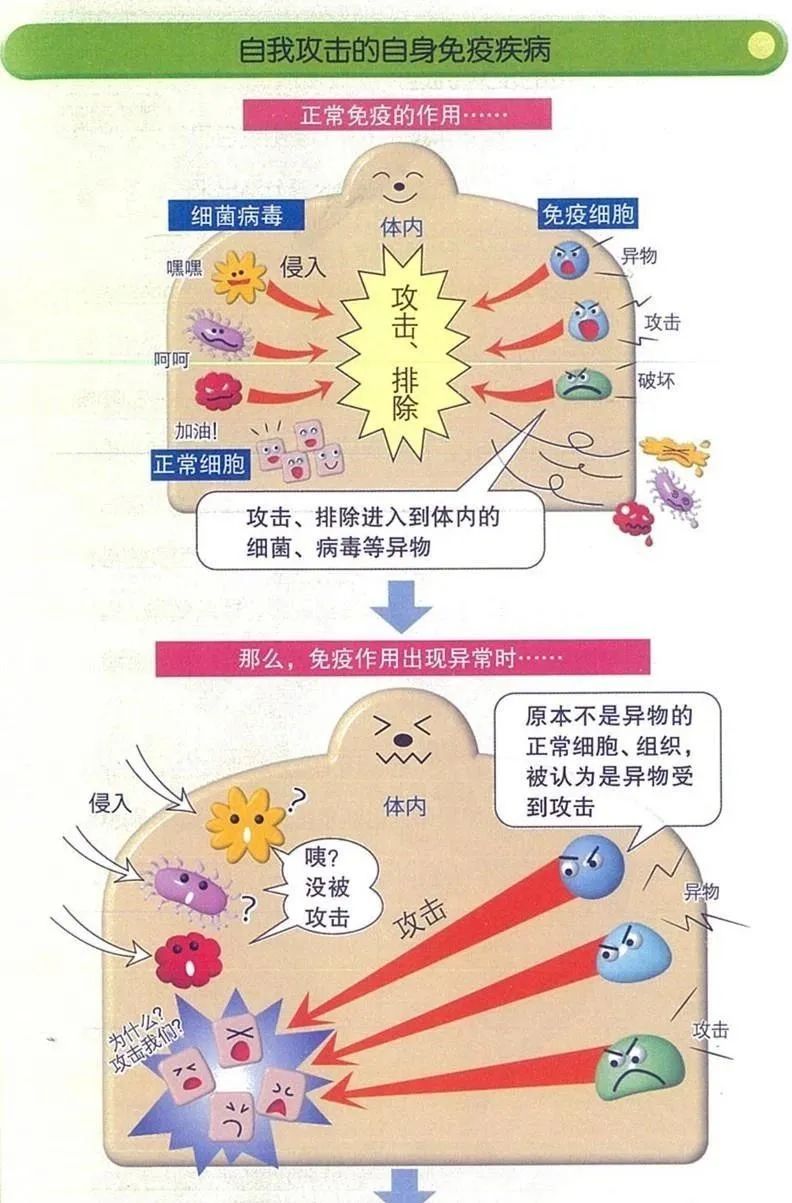 导致自身免疫疾病的根源，就是免疫细胞失衡所引起的！
