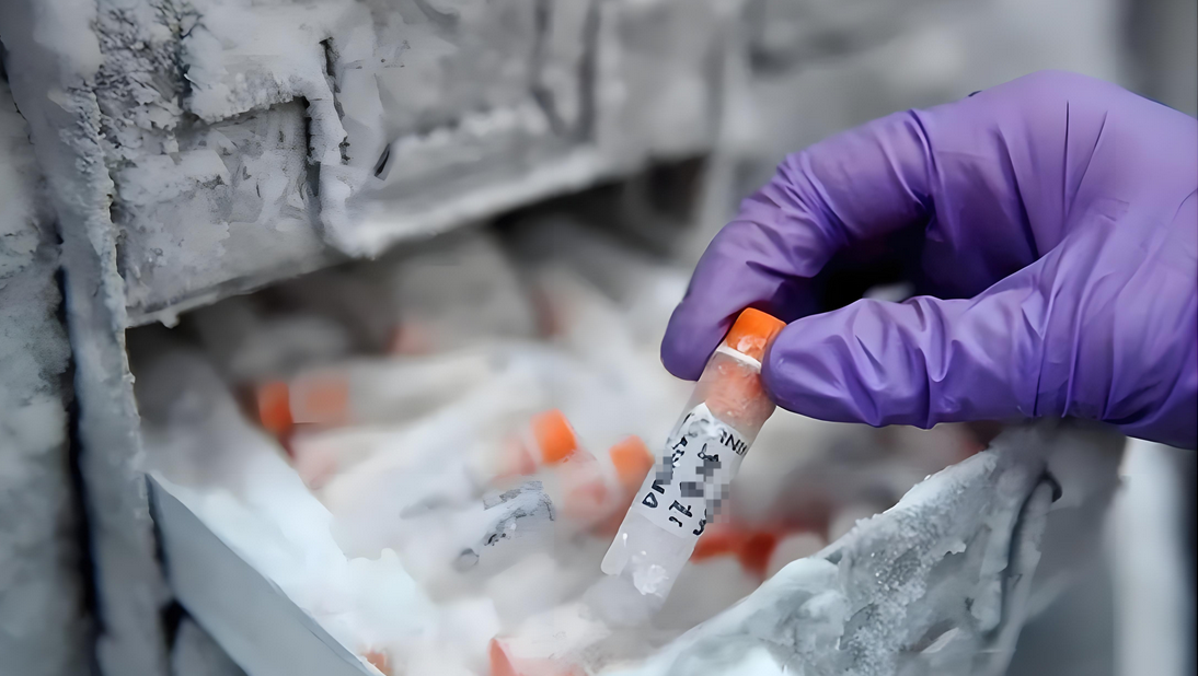 将细胞冻存起来，20年、30年...过后，真的还可以使用吗？不会坏掉吗？