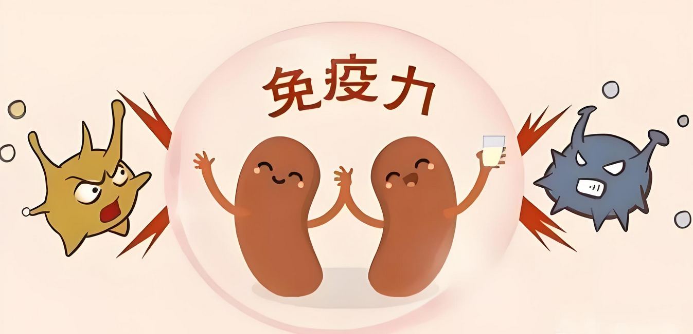 逐渐“衰弱”的免疫细胞使你免疫力下降，如何才能“满血复活”？