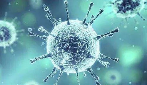 NK免疫细胞疗法临床研究已超2000项，应用范围越来越广泛